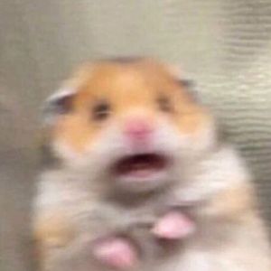 Meet your Posher, Alessandra